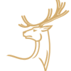 6.webp